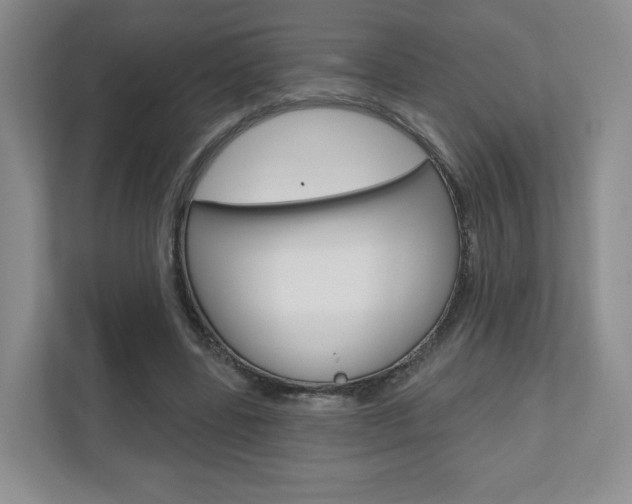X0000110920539200906181218