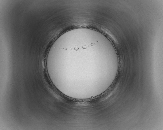 X0000110920541200906181218