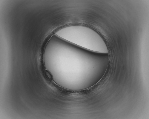 X0000110920544200906181218