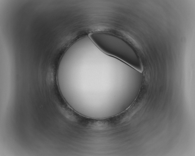 X0000110920546200906181218