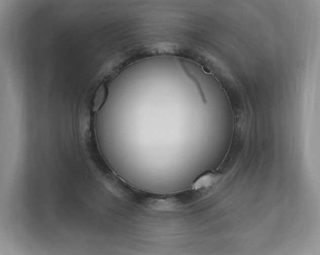 X0000110920548200906181218