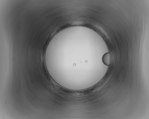 X0000110920549200906181218