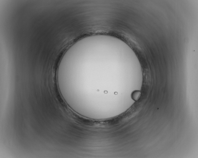 X0000110920550200906181218