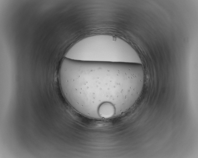 X0000110920555200906181218