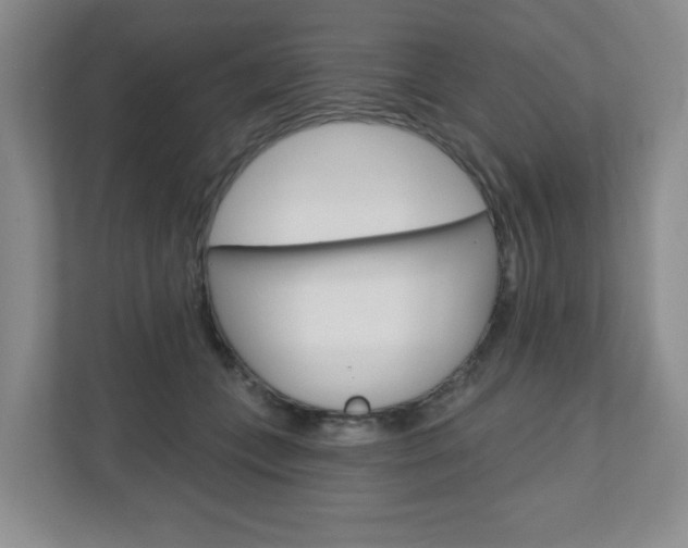 X0000110920559200906181218