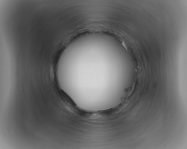 X0000110920562200906181218