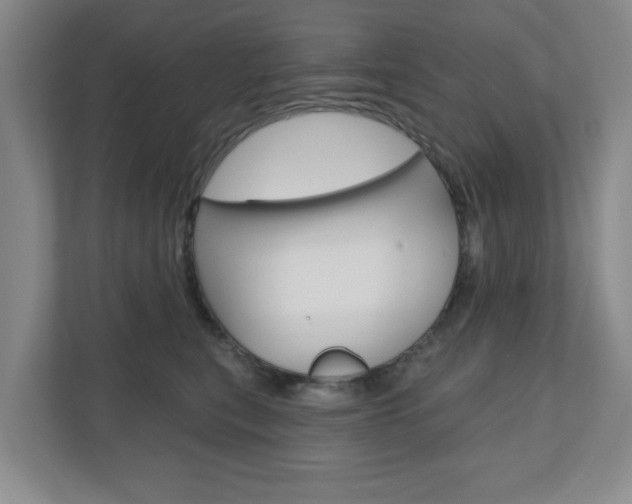 X0000110920567200906181218