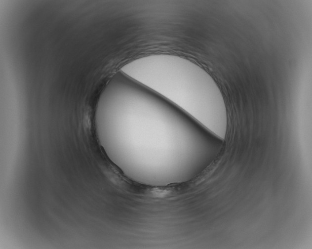 X0000110920570200906181218