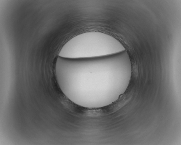 X0000110920571200906181218