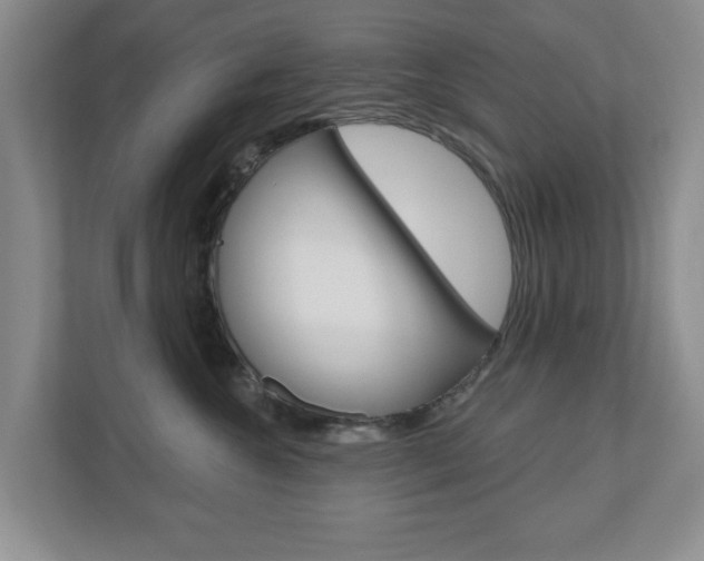 X0000110920572200906181218