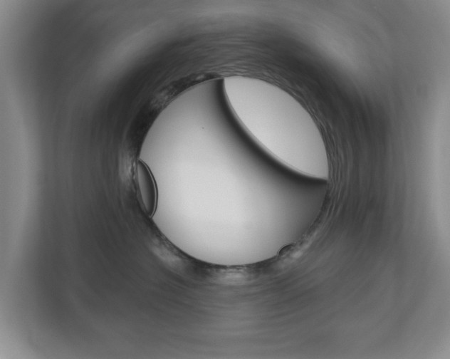 X0000110920574200906181218