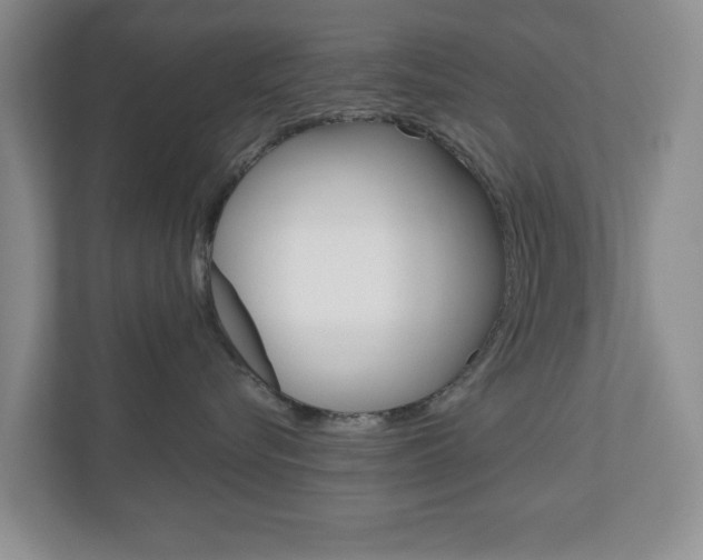 X0000110920576200906181218