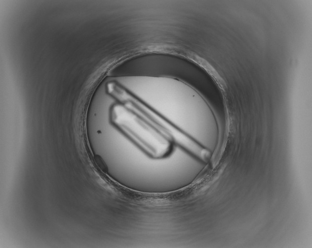 X0000110920577200906181218