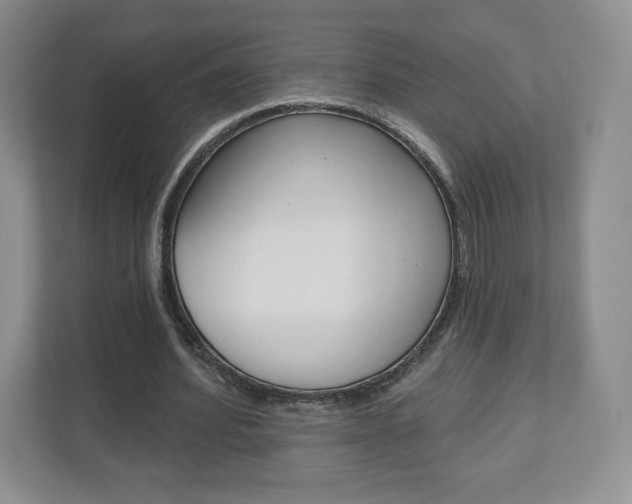X0000110920580200906181218