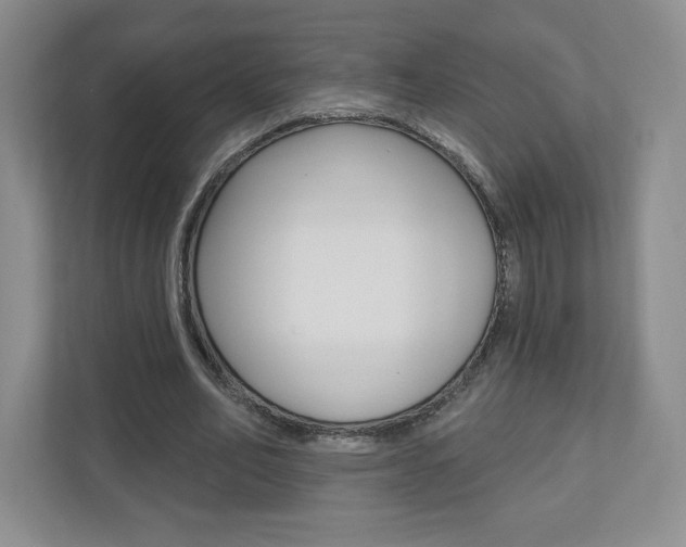 X0000110920582200906181218