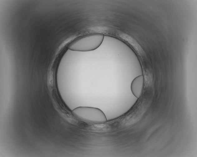 X0000110920583200906181218