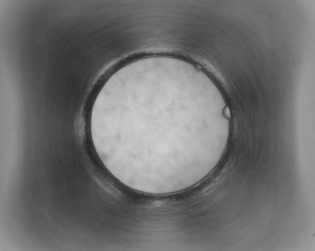X0000110920584200906181218