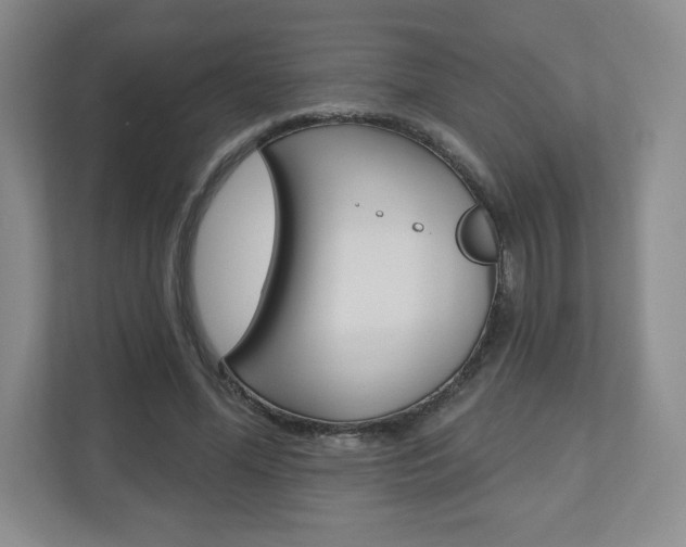 X0000110920588200906181217