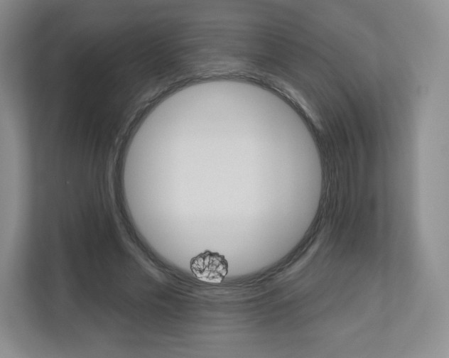 X0000110920589200906181217