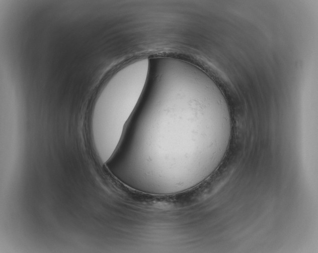 X0000110920592200906181217