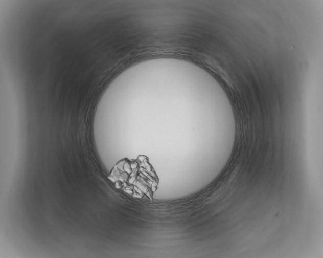 X0000110920593200906181217