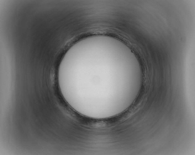 X0000110920600200906181217