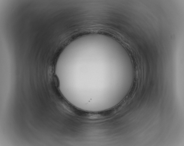X0000110920605200906181217