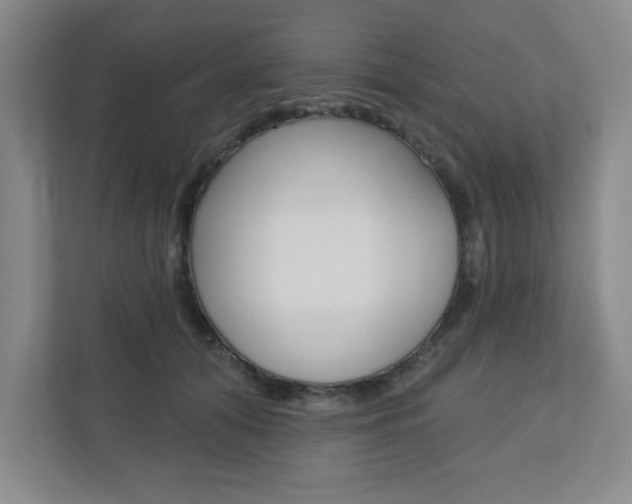 X0000110920608200906181217