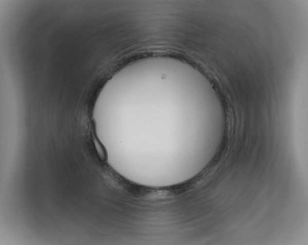 X0000110920609200906181217