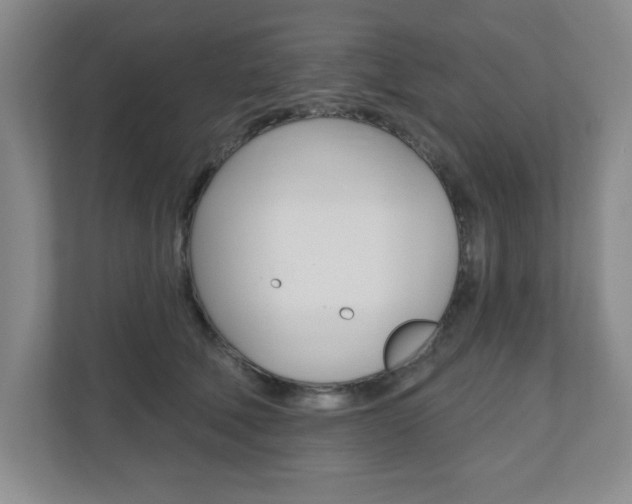 X0000110920610200906181217