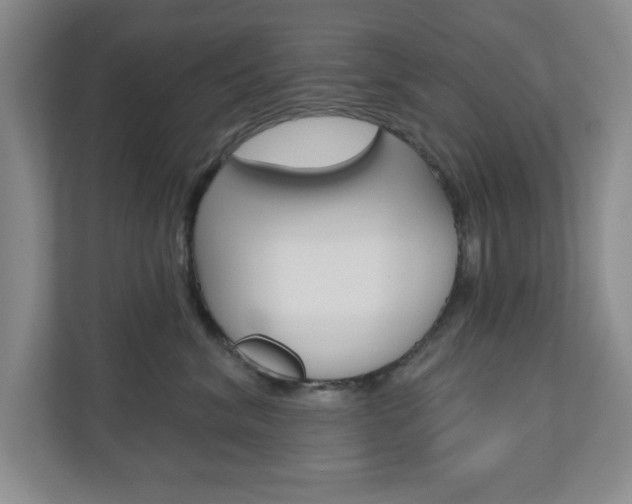 X0000110920620200906181217