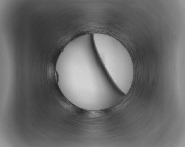 X0000110920623200906181217