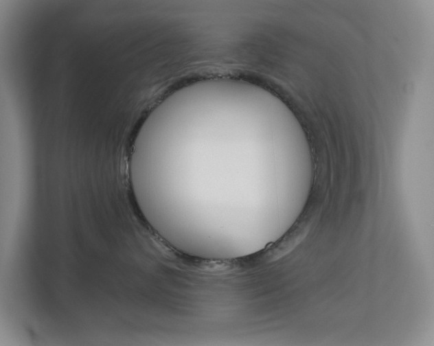 X0000110920624200906181217