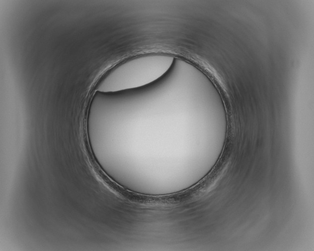 X0000110920625200906181216