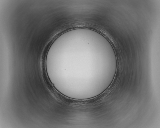 X0000110920626200906181216