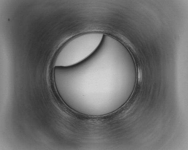 X0000110920627200906181216