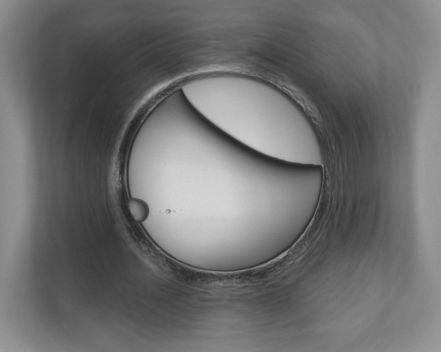 X0000110920628200906181216