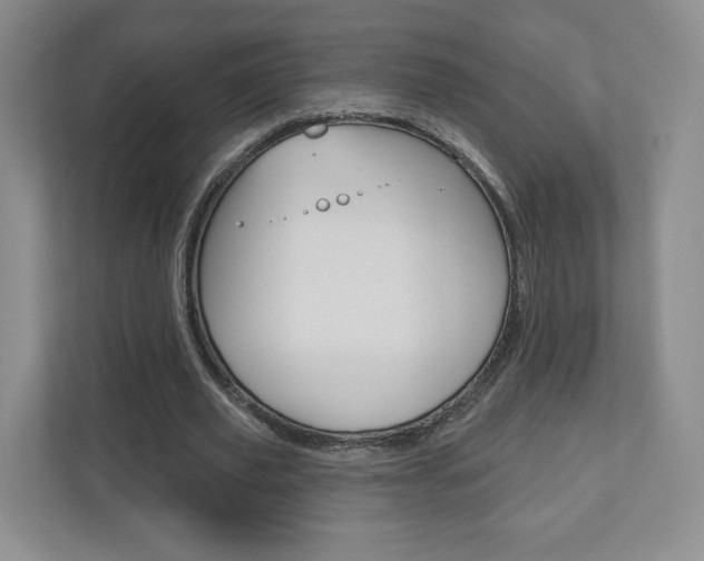 X0000110920629200906181216