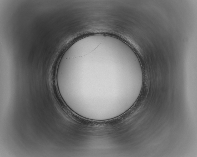 X0000110920631200906181216