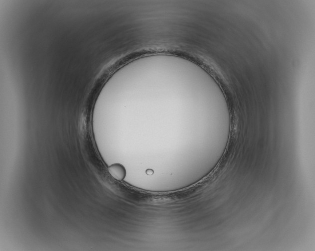 X0000110920636200906181217
