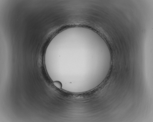 X0000110920640200906181217