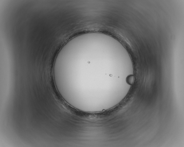 X0000110920641200906181217