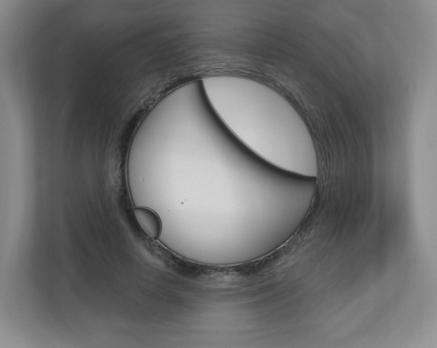 X0000110920642200906181217