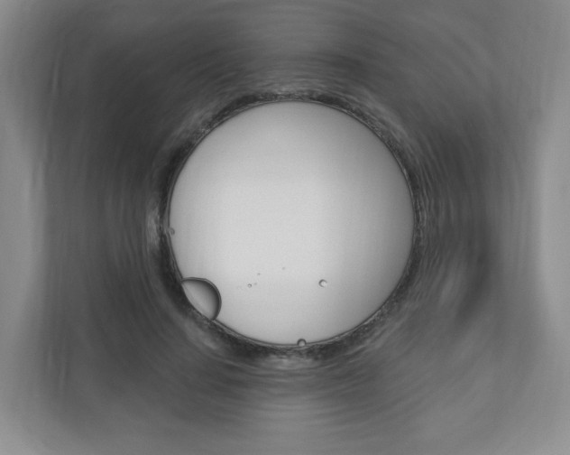X0000110920644200906181217