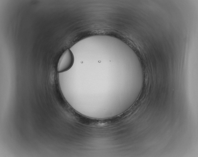 X0000110920647200906181217