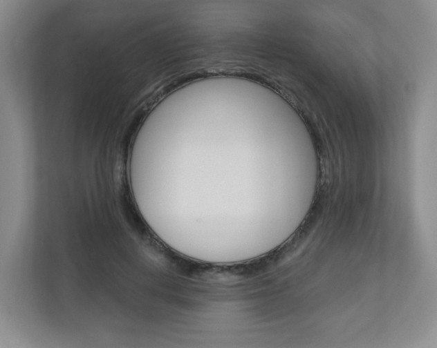 X0000110920648200906181217