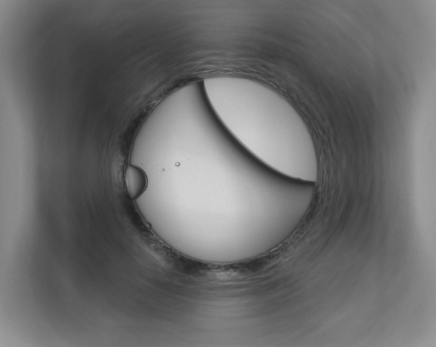 X0000110920650200906181217