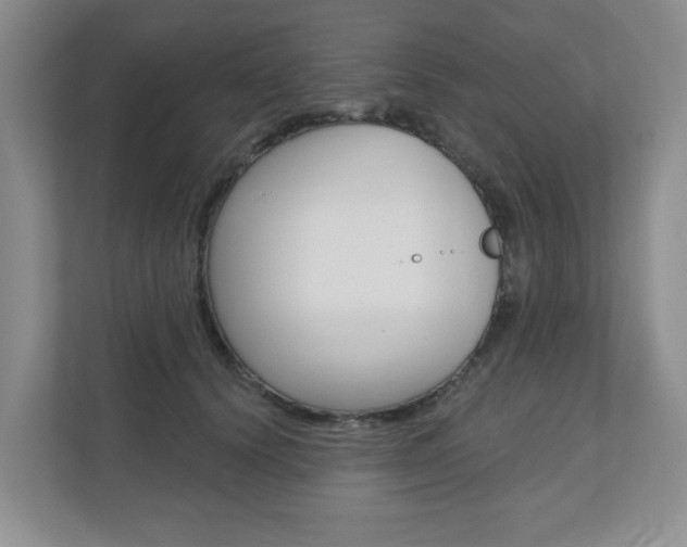 X0000110920656200906181217