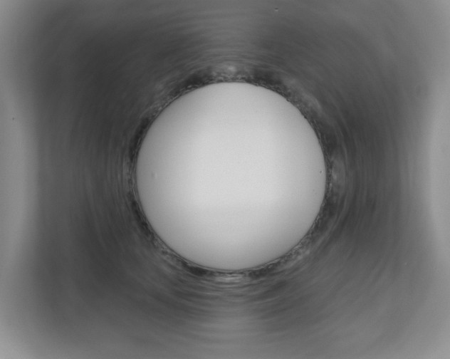 X0000110920659200906181217