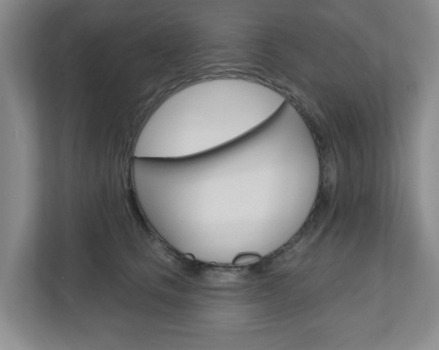 X0000110920661200906181217